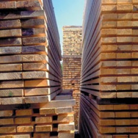 Portál pro lesnictví a zpracování dřeva 	