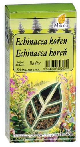 Echinacea kořen
