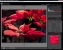 Základní kurz Adobe Photoshop Lightroom