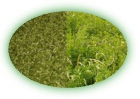 Krmná surovina vojtěško - travní granule