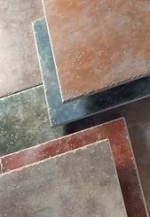 A photo of a fox