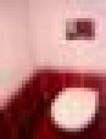 A photo of a fox