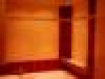 A photo of a fox