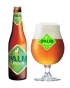 Belgické pivo Palm green