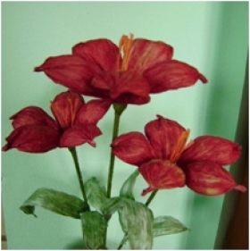 Květy Lilie stonek