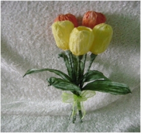 Květy Tulipán