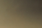 A photo of a fox