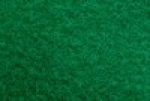 A photo of a fox