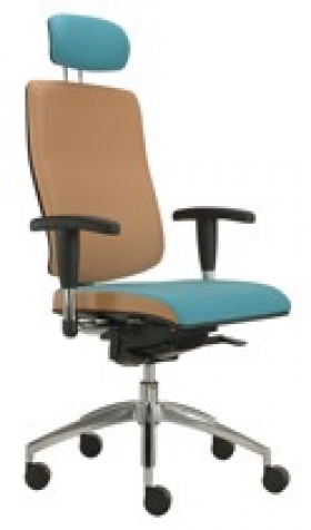 Kancelářská židle vision