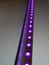 UV pásek SMD5050 60led/m vysoký svit
