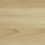 A photo of a fox