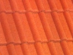A photo of a fox