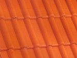 A photo of a fox