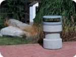 A photo of a fox