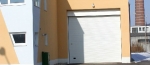 A photo of a fox