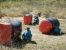 Paintball 