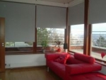 A photo of a fox