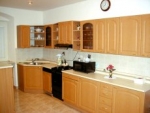 A photo of a fox
