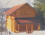 A photo of a fox