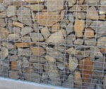 A photo of a fox