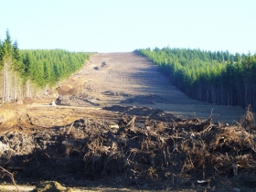 Doprava a přeprava biomasy, štěpky a pilin