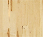 A photo of a fox