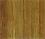 A photo of a fox