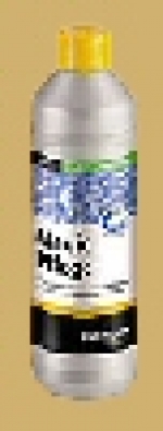 A photo of a fox