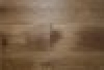 A photo of a fox