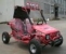 UTV a buggy