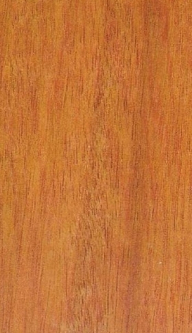 Dřevo Guarea