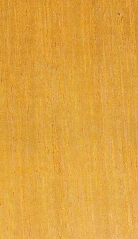 Dřevo Chenchen