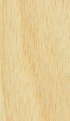 Dřevo Koto