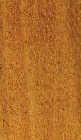 Dřevo Sapele