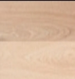 A photo of a fox