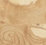 A photo of a fox