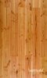 A photo of a fox