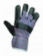 A photo of a fox