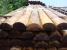 Srubovina
