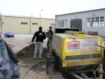 A photo of a fox