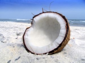 Panenský kokosový olej