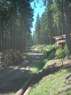 Služby pro vlastníky lesů a obce