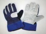 A photo of a fox