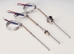 A photo of a fox