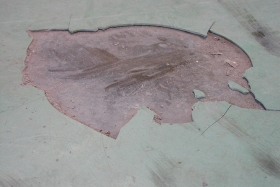 Opravy podlah - epoxidové podlahy
