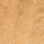A photo of a fox