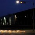 A photo of a fox