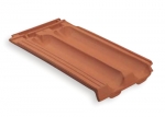 A photo of a fox