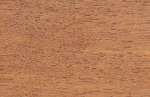 A photo of a fox