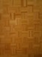 A photo of a fox